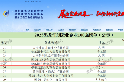 喜報！九洲集團連續七年躋身龍江雙百強 以穩健發展續寫榮譽篇章