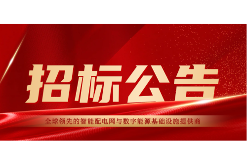 招標公告 | 泰來九洲新清光伏發(fā)電有限責(zé)任公司視頻監(jiān)控系統(tǒng)采購施工招標公告(1)