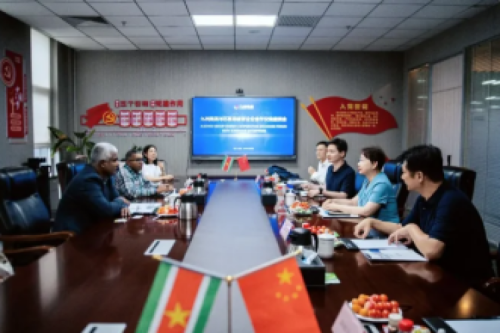 海外國家級電力客戶同期蒞臨九洲集團(tuán)考察 國際市場拓展喜獲新成果